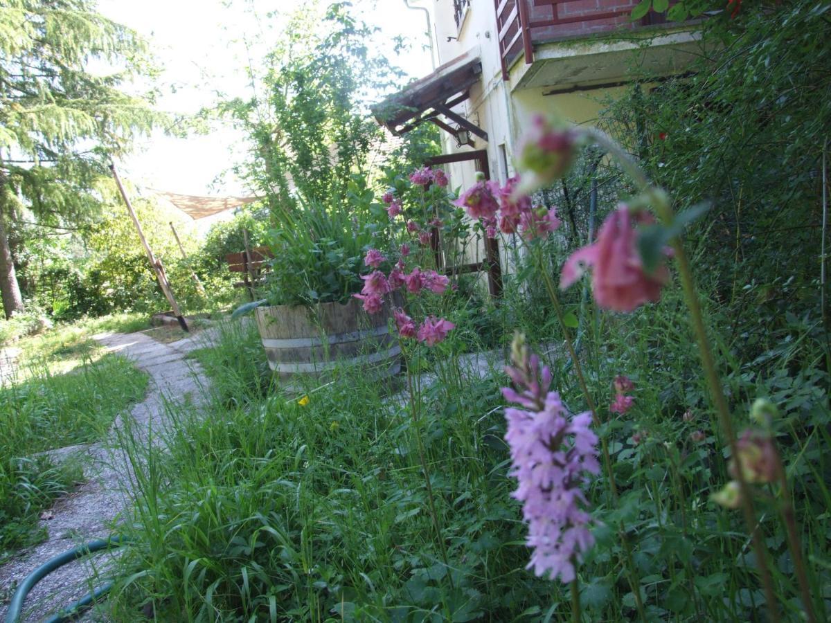 Vacanze Toscane In The Country - Villa Agrifogli Sassetta Exterior photo